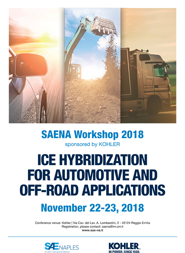 Workshop 2018 ICE HYBRIDIZATION